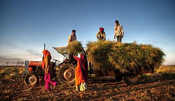 Strengthening the Indian Agriculture ecosystem