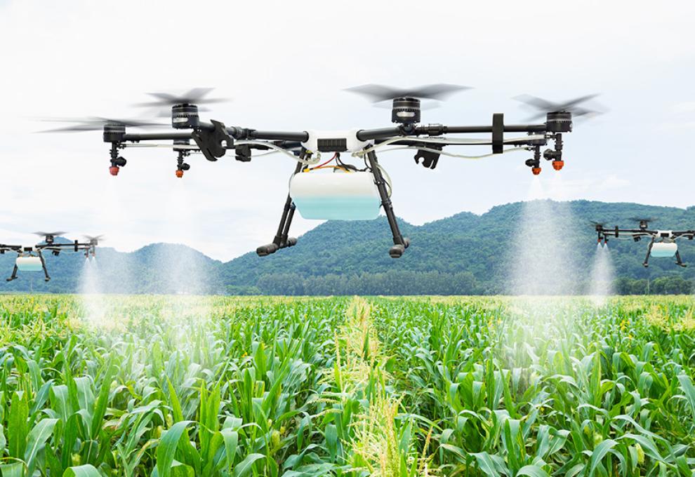 Artificial Intelligence revolutionising Agriculture