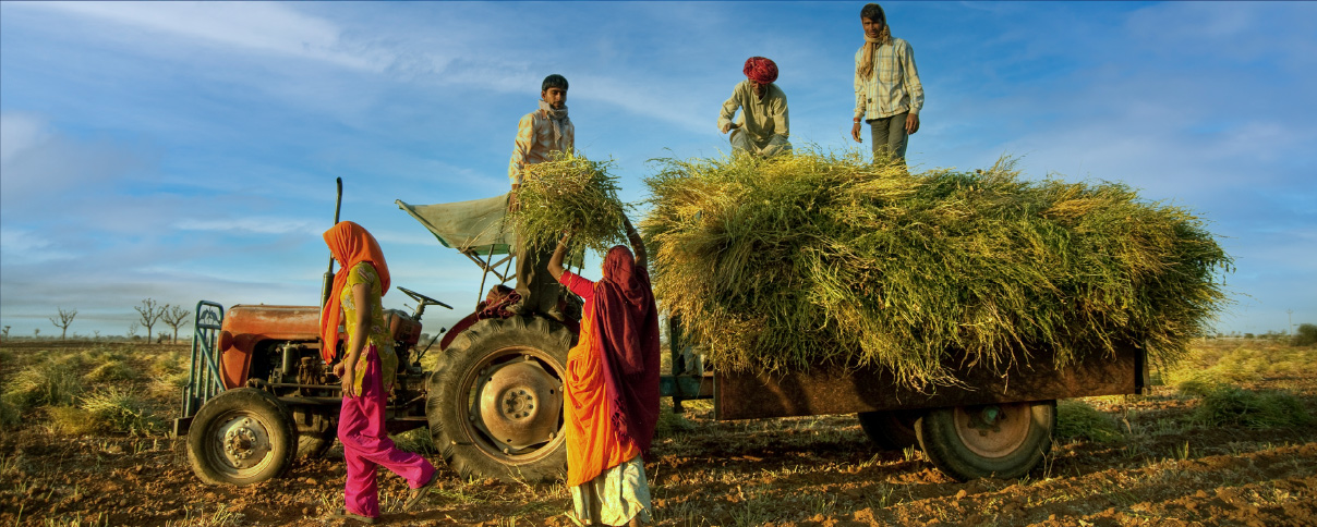 Agriculture and Allied Sectors | NITI Aayog
