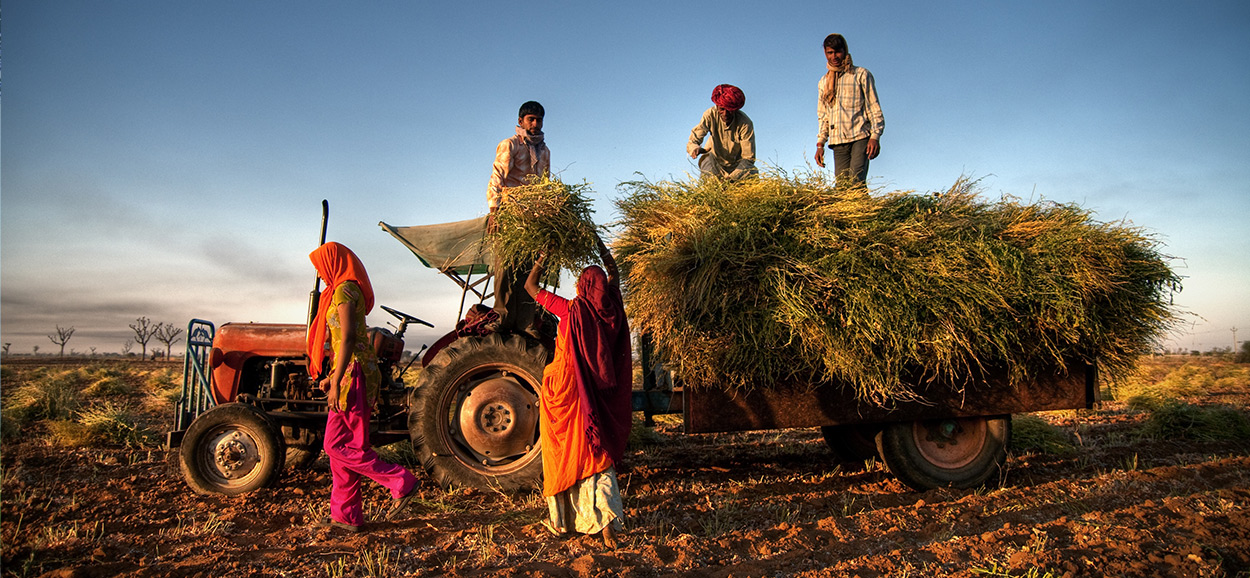 History and evolutions of agriculture through ages.  