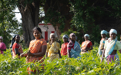 Women and Youth Participation in Cooperatives