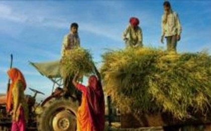 Leveraging Agroecological Approaches for Clean and Green Villages