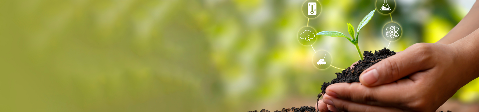 Agriculture Policy